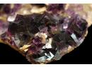 Fluorite violette - Berbes - Espagne