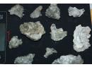 Lot de spécimens de quartz - Oisans - France
