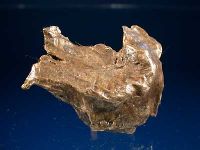 Photo 1/3 : Meteorite Sikhote-Alin