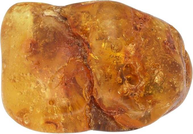 Ambre sélectionnée par Oriane Vasseur
